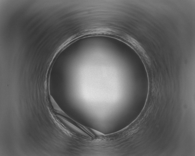 X0000083531234200702240009