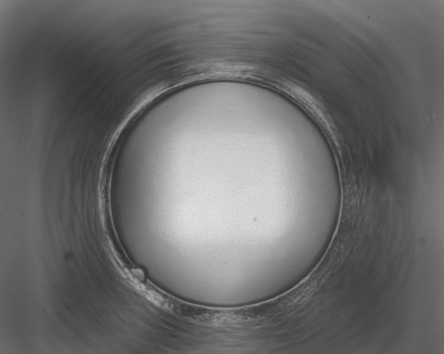 X0000083531235200702240009