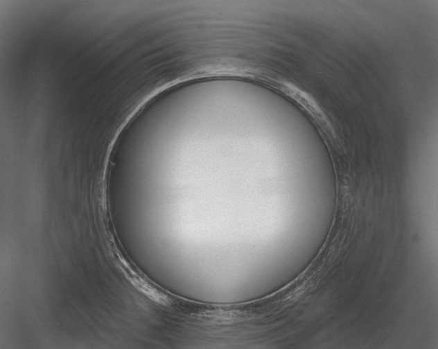 X0000083531236200702240009