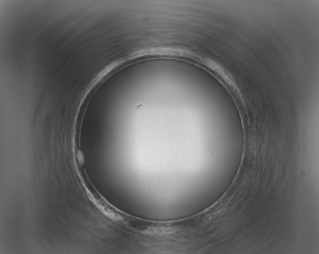 X0000083531237200702240009