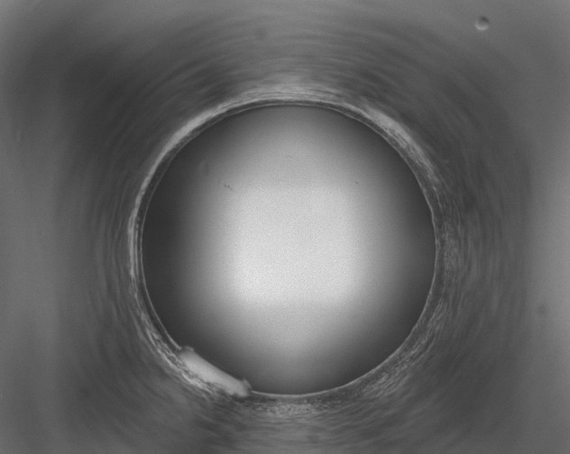 X0000083531238200702240009