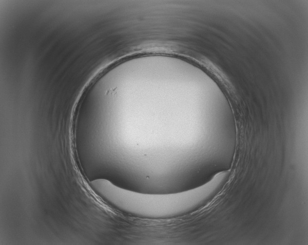 X0000083531240200702240010