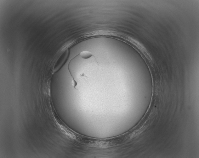 X0000083531241200702240010