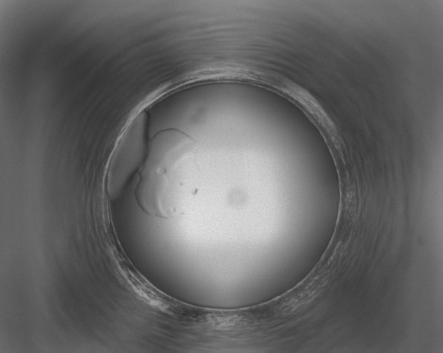 X0000083531242200702240010