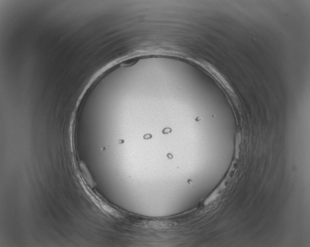 X0000083531246200702240010