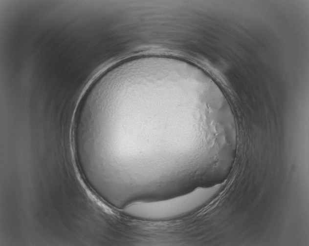 X0000083531247200702240010