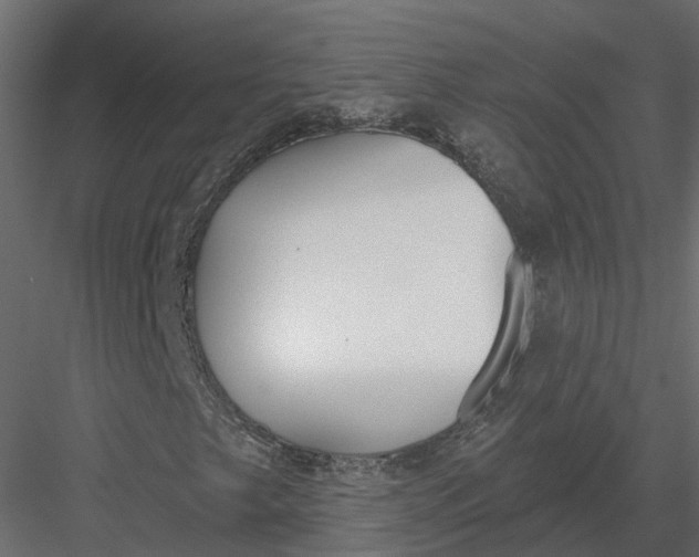 X0000083531249200702240009