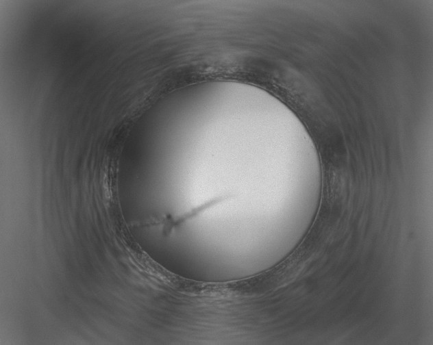 X0000083531250200702240009