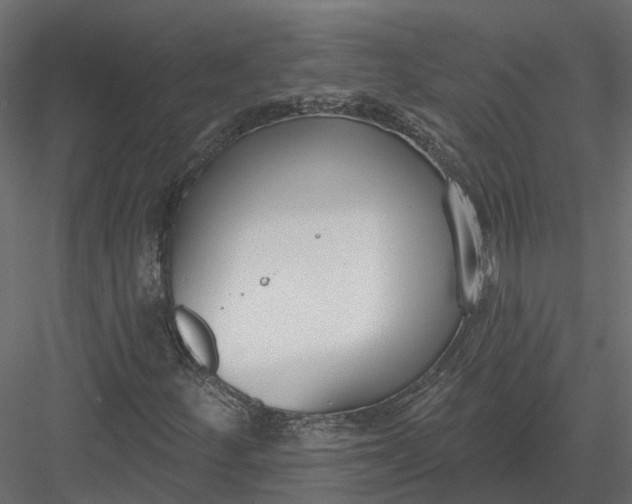 X0000083531252200702240009