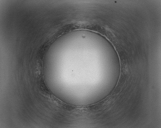 X0000083531253200702240009