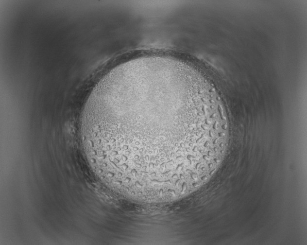 X0000083531254200702240009