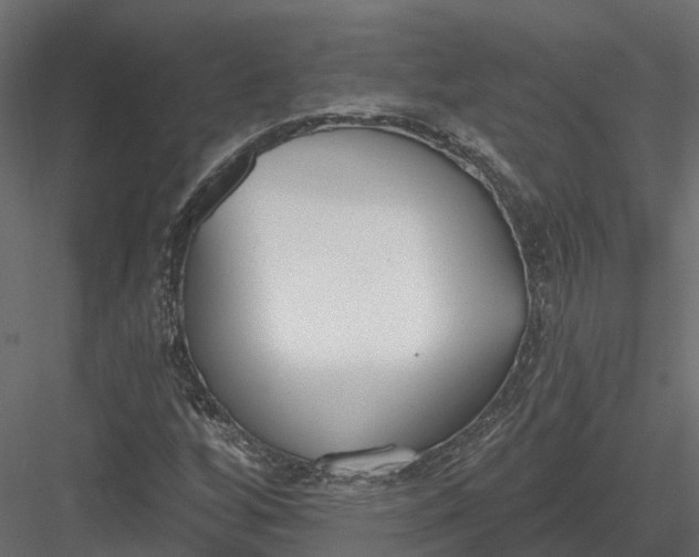 X0000083531256200702240009