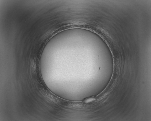 X0000083531257200702240009