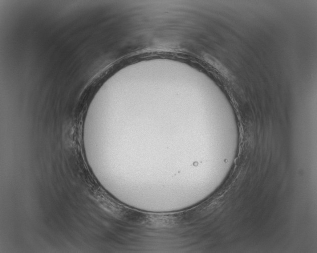 X0000083531258200702240009