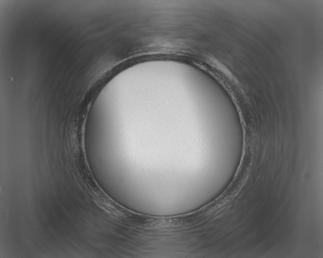 X0000083531259200702240009