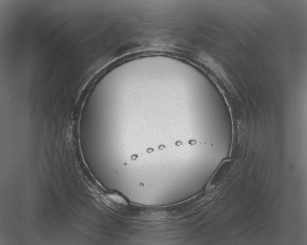 X0000083531260200702240009