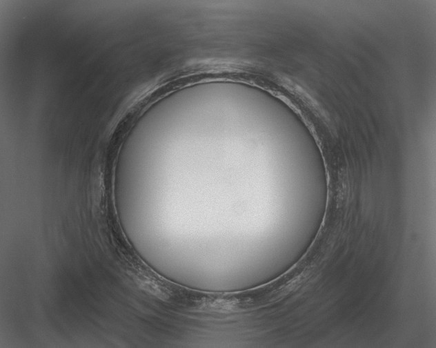 X0000083531261200702240009