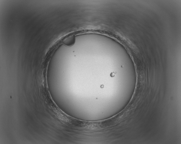 X0000083531262200702240009