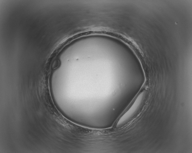 X0000083531263200702240009