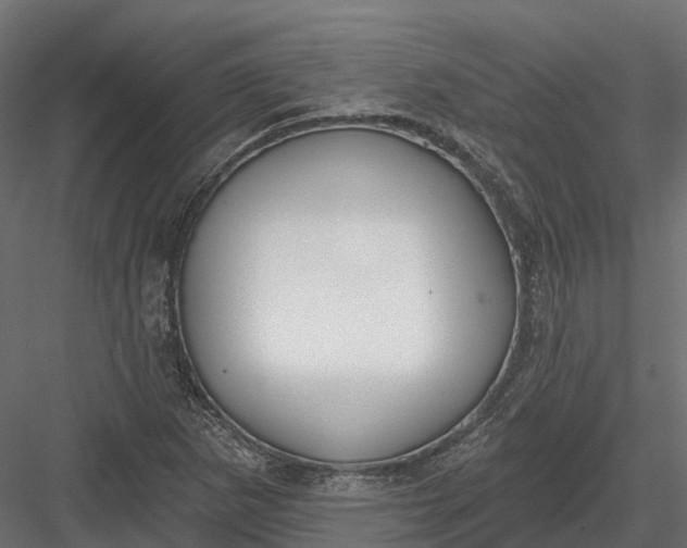 X0000083531265200702240009