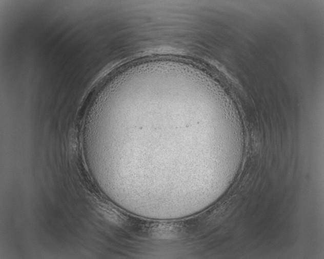 X0000083531266200702240009