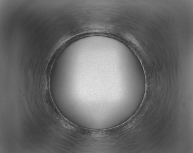 X0000083531267200702240009