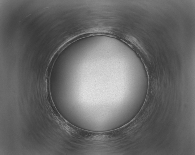 X0000083531268200702240008