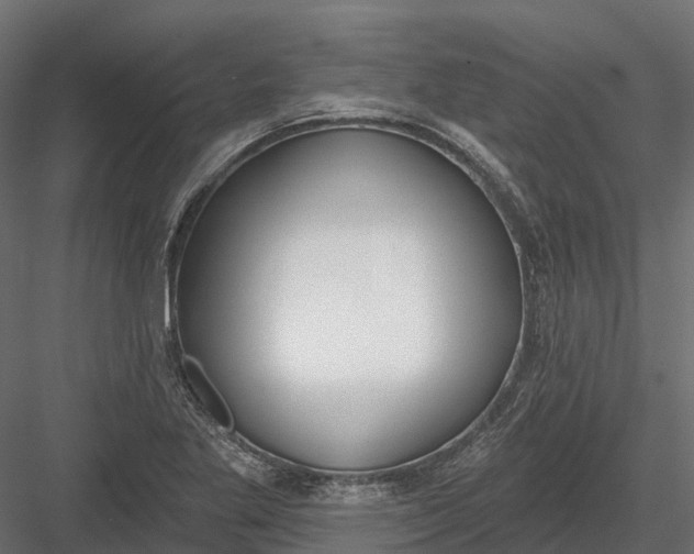 X0000083531269200702240008