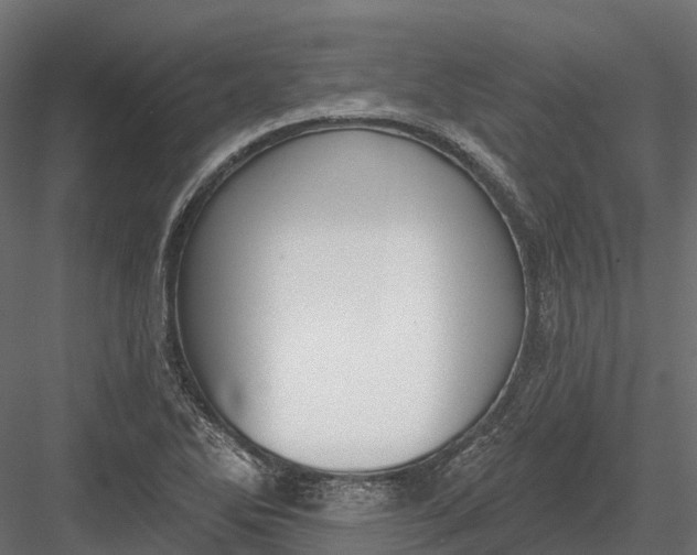 X0000083531270200702240008