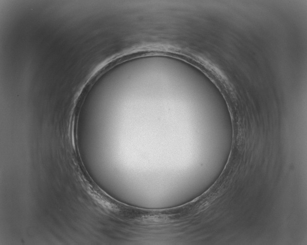 X0000083531272200702240008