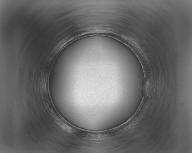 X0000083531273200702240008