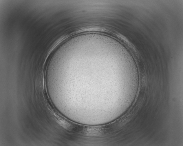 X0000083531274200702240008