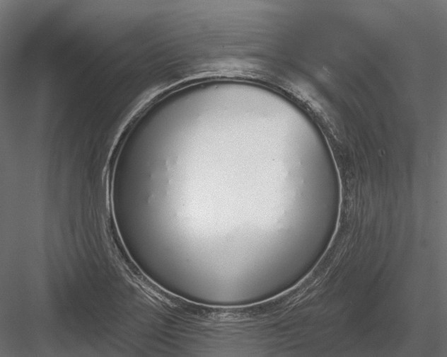 X0000083531275200702240008