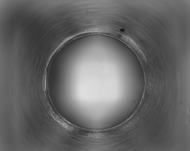 X0000083531276200702240008