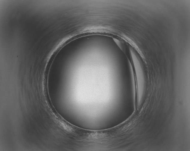 X0000083531277200702240008