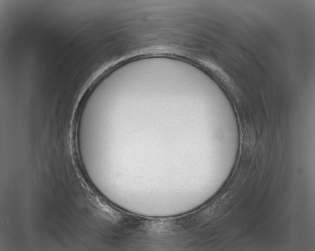 X0000083531278200702240008