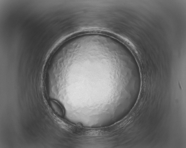 X0000083531279200702240008