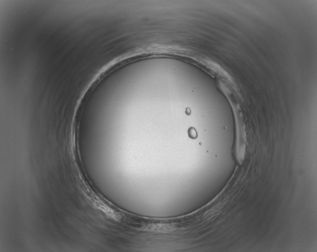 X0000083531280200702240008