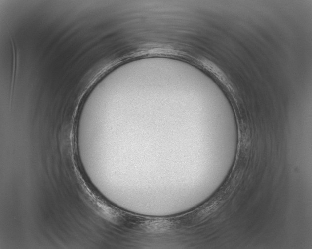 X0000083531282200702240008