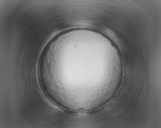 X0000083531283200702240008