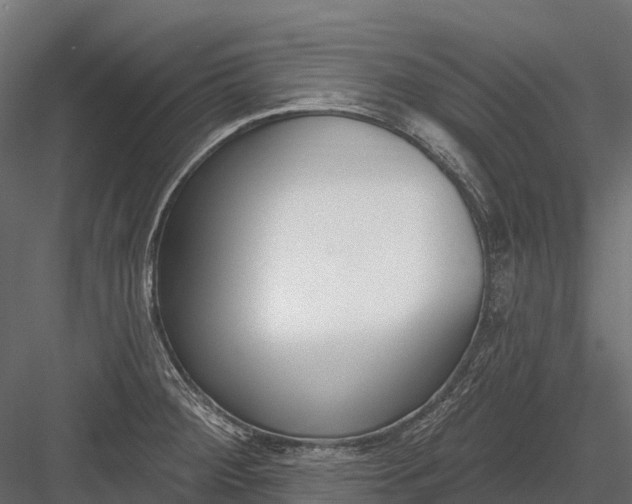 X0000083531284200702240008