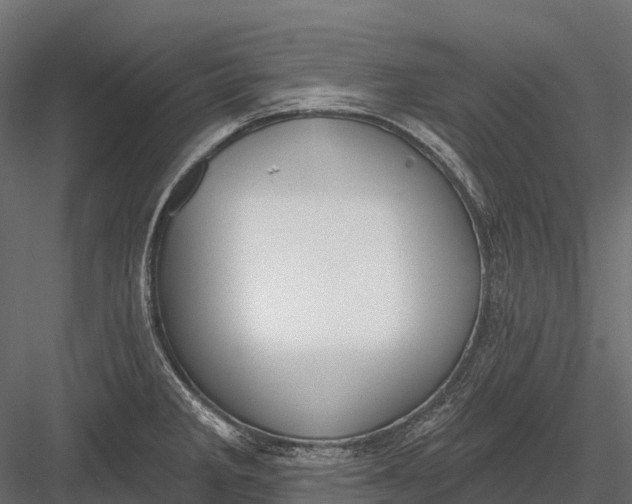 X0000083531285200702240008