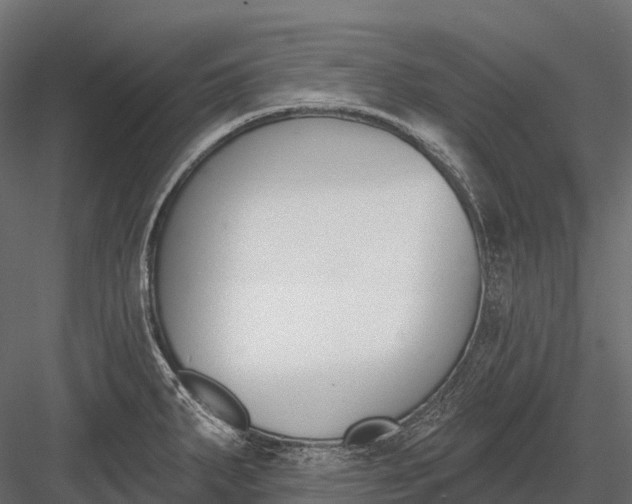 X0000083531287200702240008