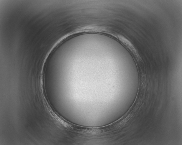 X0000083531288200702240008