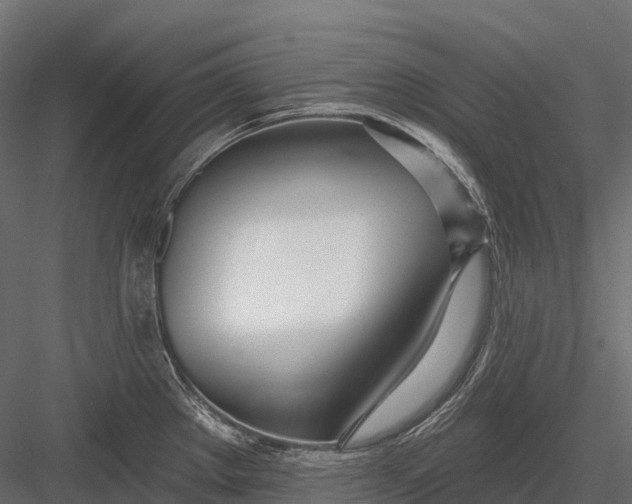 X0000083531289200702240008