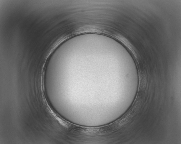 X0000083531290200702240008