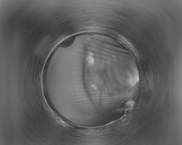 X0000083531291200702240008