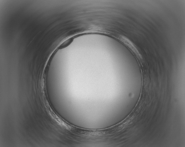 X0000083531292200702240008