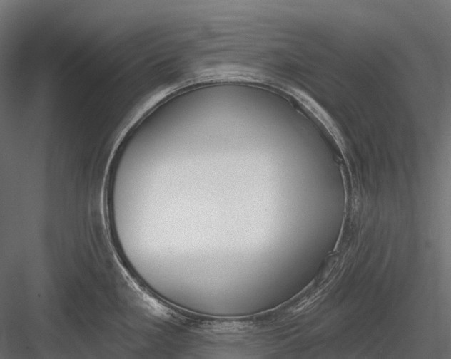 X0000083531293200702240008