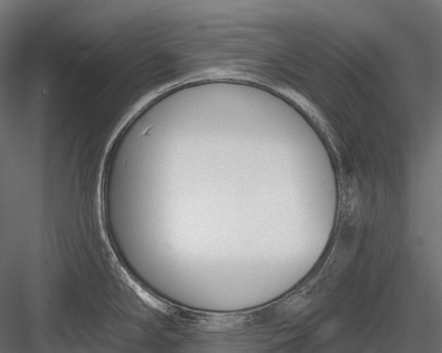 X0000083531294200702240008